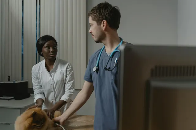 A dedicated team of veterinary professionals standing together inside a clean and welcoming pet hospital